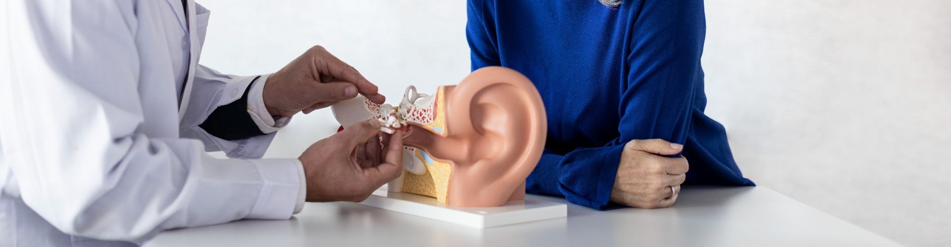 Hoe het gehoor werkt